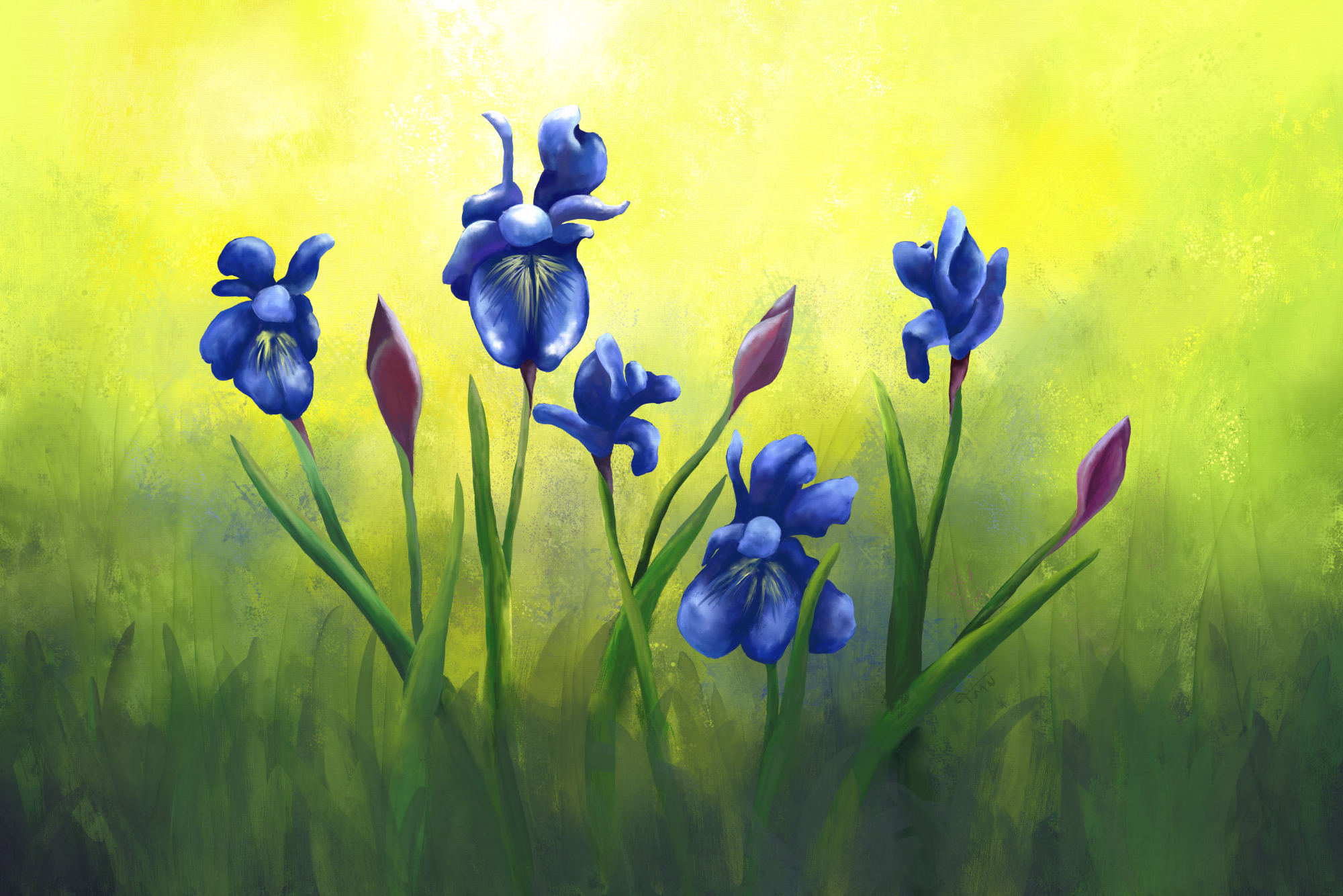 Digital acrylic painting of blue iris flowers