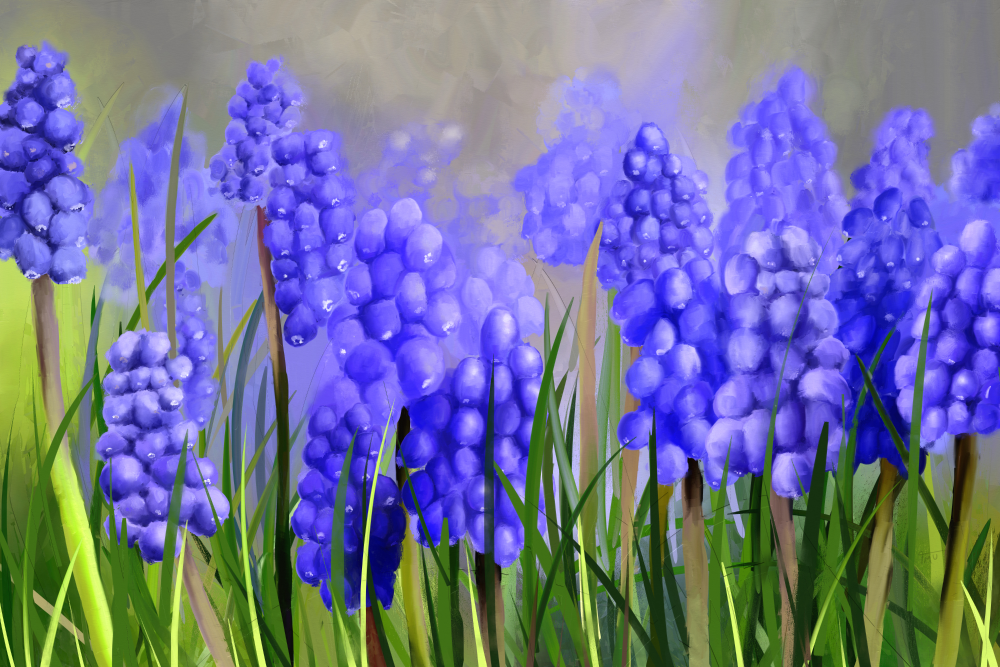 Digital acrylic painting of Grape Hyacinths in blue