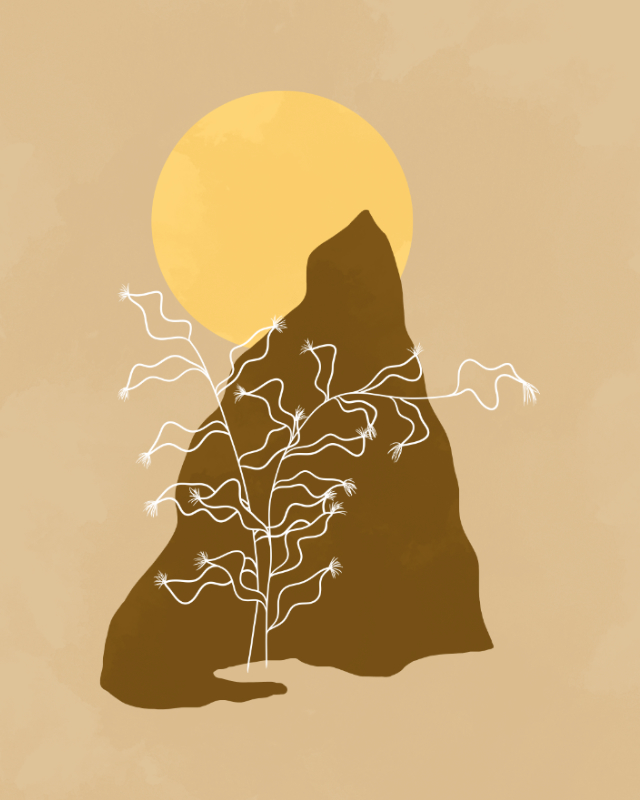 Minimalist lines and shapes artwork with a leafy plant, a mountain and a sun (5)