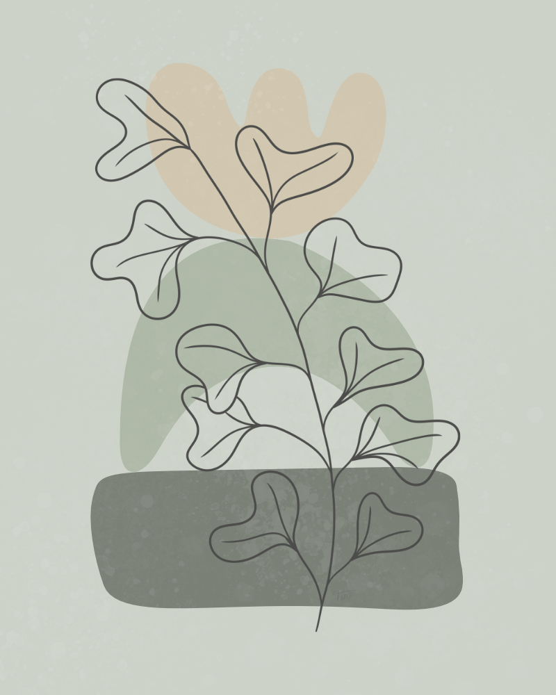 Minimalist design with a plant and organic shapes 1