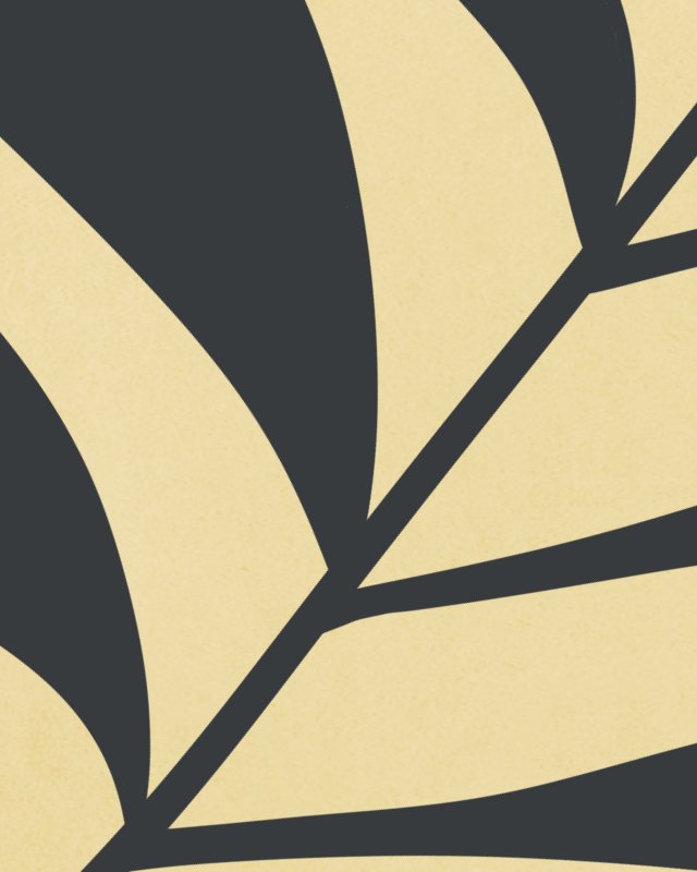Minimalist illustration with two palm leaves 9