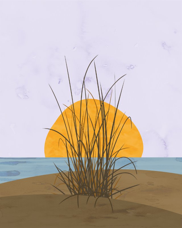 Minimalist North Sea View with sea barley 6