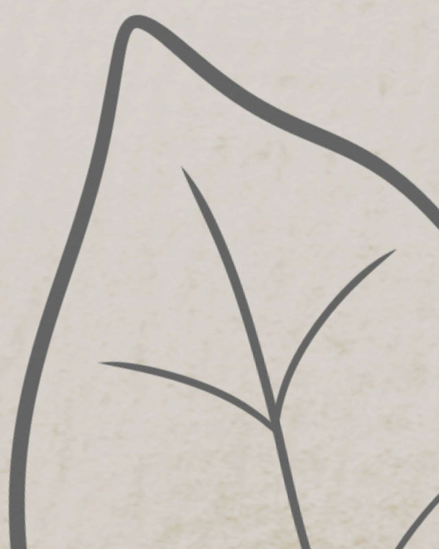 Minimalist line art of a branch with leaves in warm gray colors 1