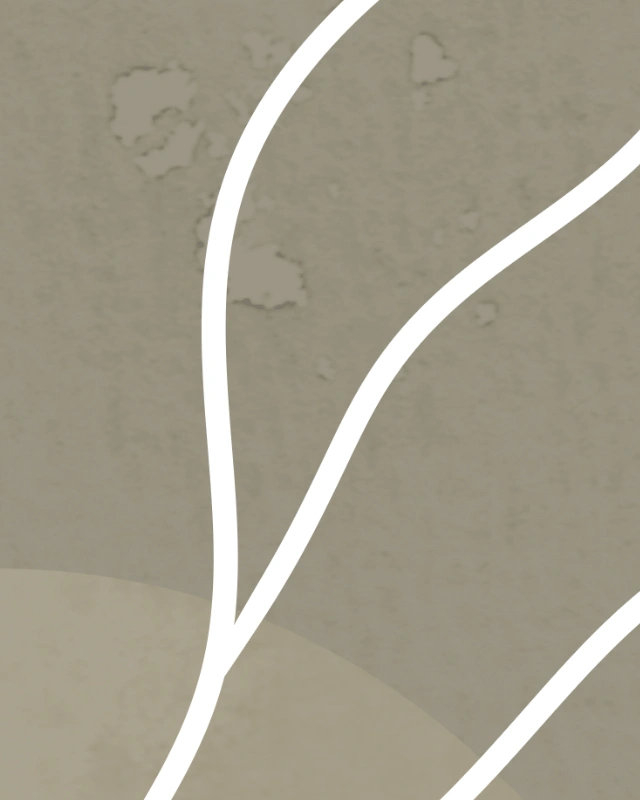 Minimalist line art of a branch with leaves in warm gray colors 3