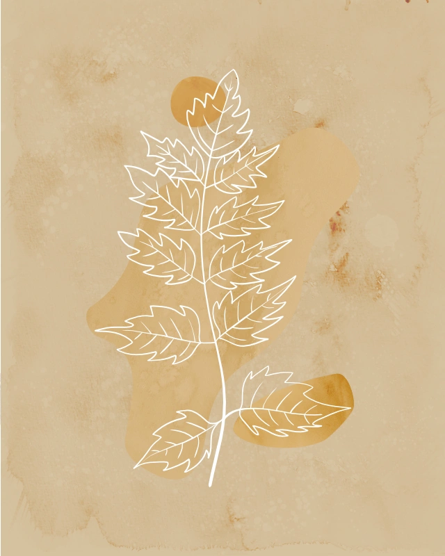 Minimalist line art of a branch with leaves in light brown colors 2