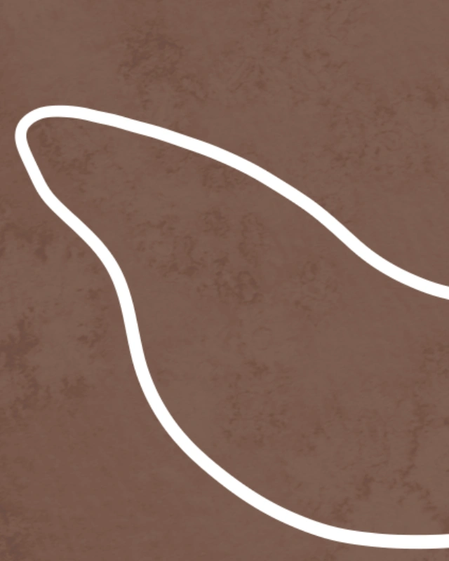 Minimalist line art of a branch with leaves in warm brown colors 1