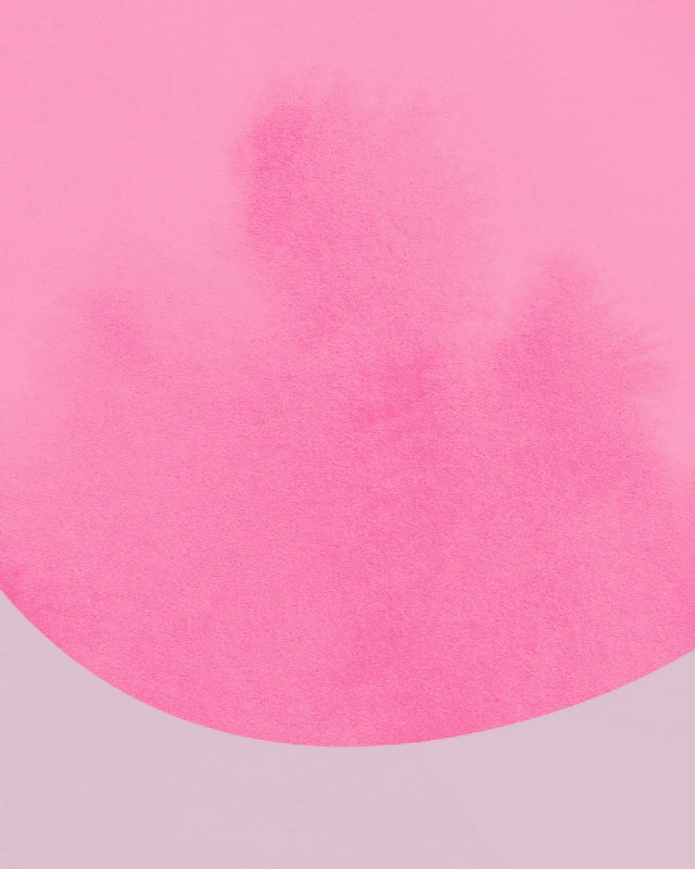 Minimalist illustration of a landscape inspired by heather in variations of pink