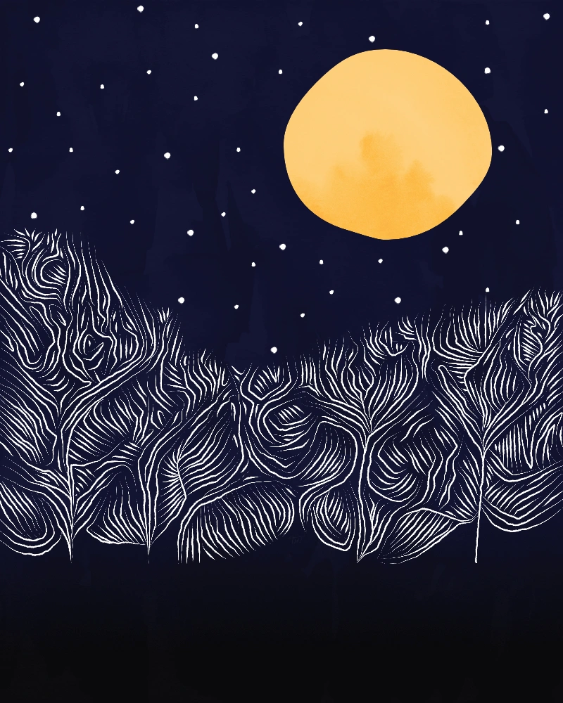 Abstract landscape with a mystical forest at night 1