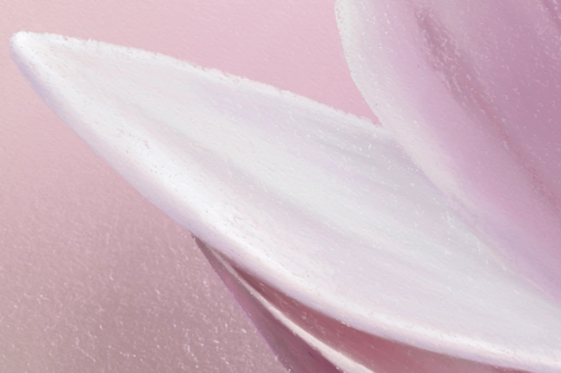 Digital soft pastel painting of Magnolia flowers in white and pink detail 1