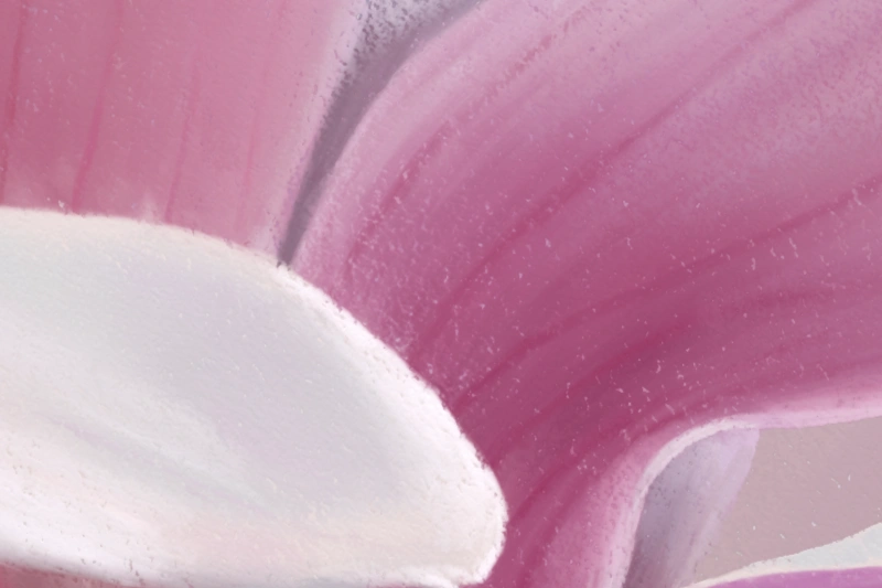 Digital soft pastel painting of Magnolia flowers in white and pink detail 3