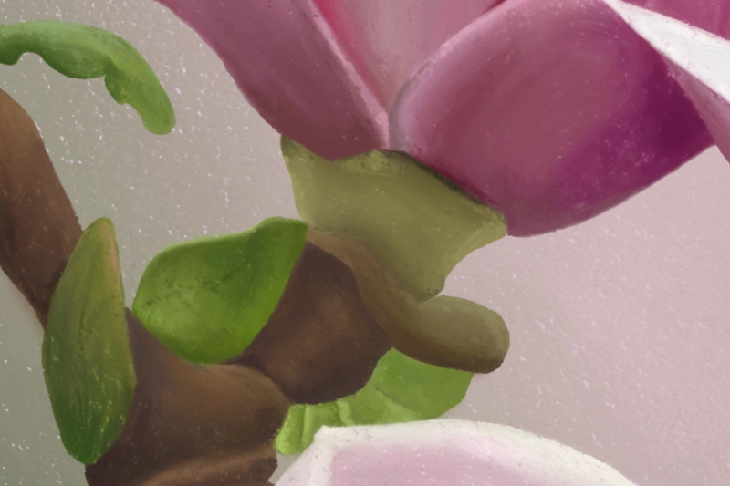 Digital soft pastel painting of Magnolia flowers in white and pink detail 4
