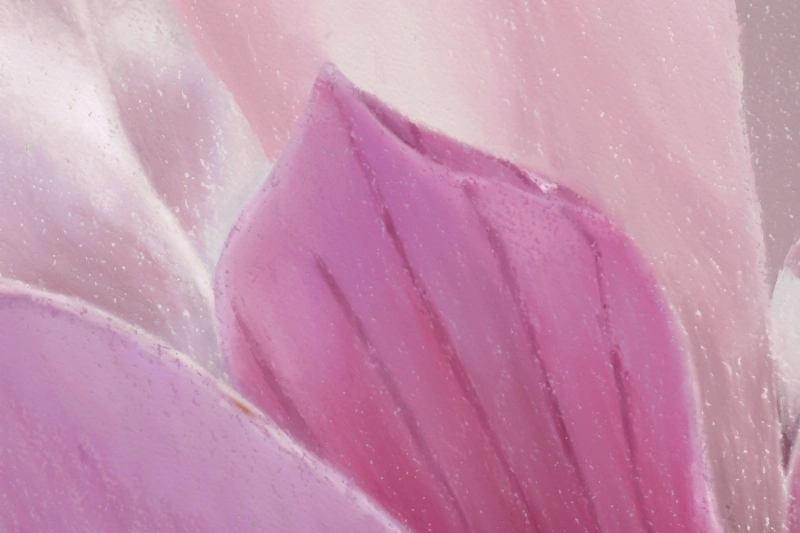 Digital soft pastel painting of Magnolia flowers in white and pink detail 5