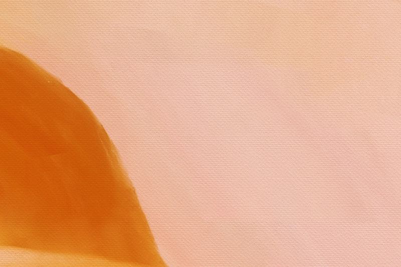 Rose orange detail 1