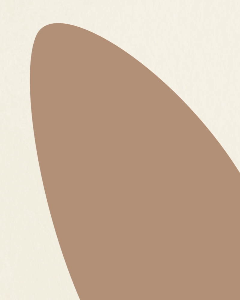 Minimalist illustration of a twig with leaves brown on ivory 1 detail 2
