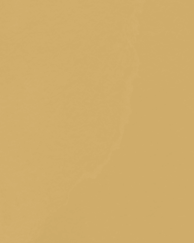 Minimalist illustration of a twig with leaves ivory on light yellow ochre 1 detail 1
