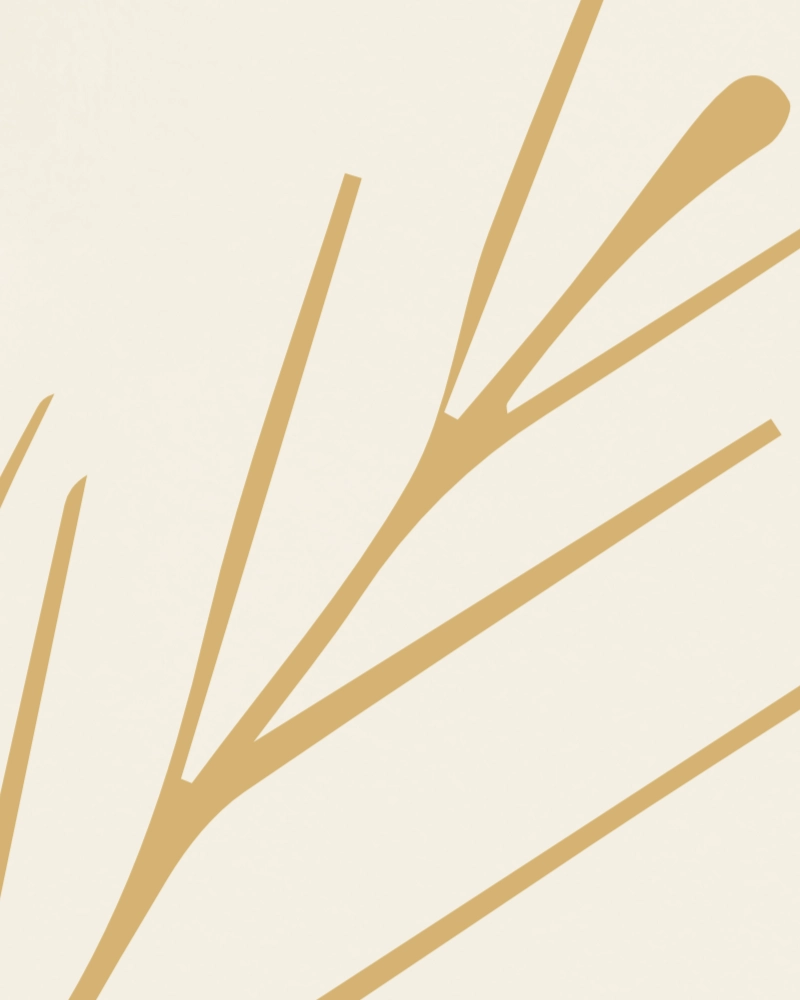 Minimalist illustration of a twig with leaves light yellow ochre on ivory 1 detail 2
