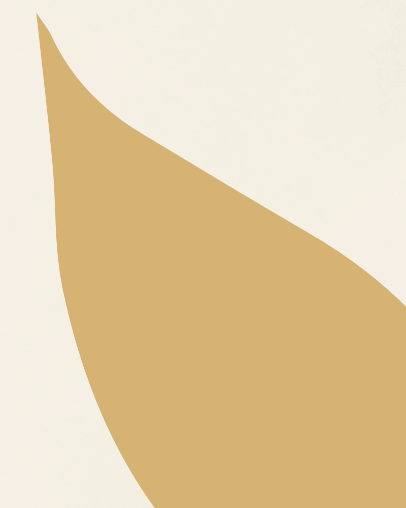 Minimalist illustration of a twig with leaves light yellow ochre on ivory 1 detail 3