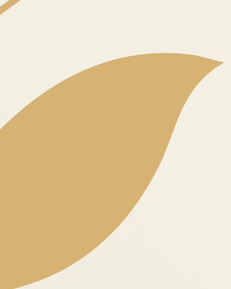 Minimalist illustration of a twig with leaves light yellow ochre on ivory 1 detail 4