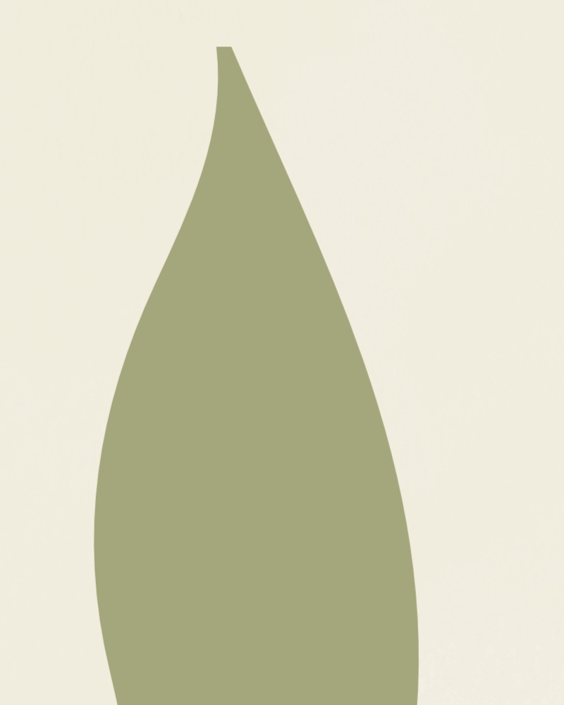 Minimalist illustration of a twig with leaves sage on ivory 1 detail 3