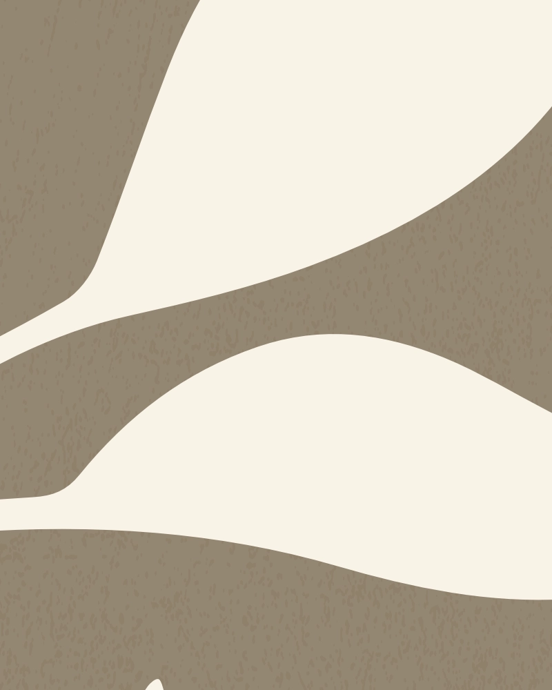 Minimalist illustration of elegantly curved leaves in natural white on ashbrown 1 detail 3