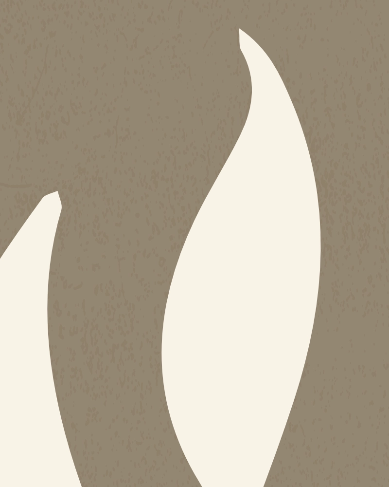 Minimalist illustration of elegantly curved leaves in natural white on ashbrown 1 detail 4