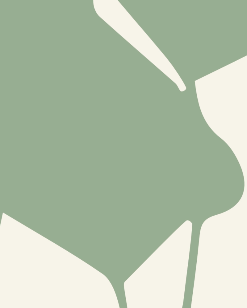 Minimalist illustration of eucalyptus in green on natural white 1 detail 3
