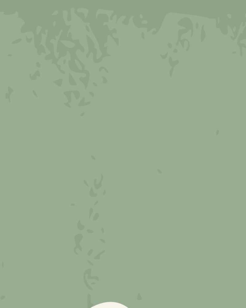 Minimalist illustration of eucalyptus in natural white on green 1 detail 1