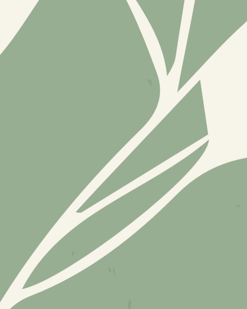 Minimalist illustration of eucalyptus in natural white on green 1 detail 4