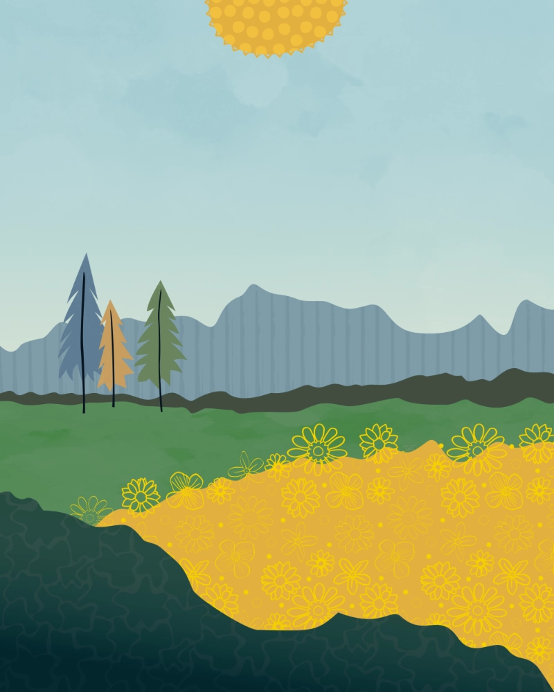 Minimaliist landscape featuring meadow of yellow flowers in the sun 1