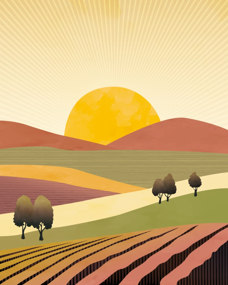 Summer landscape at sunrise 1