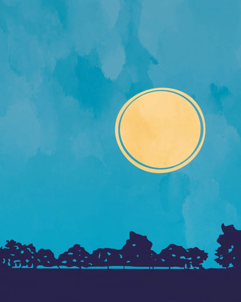 Minimalist landscape featuring trees at a sunrise on a cool spring morning 1