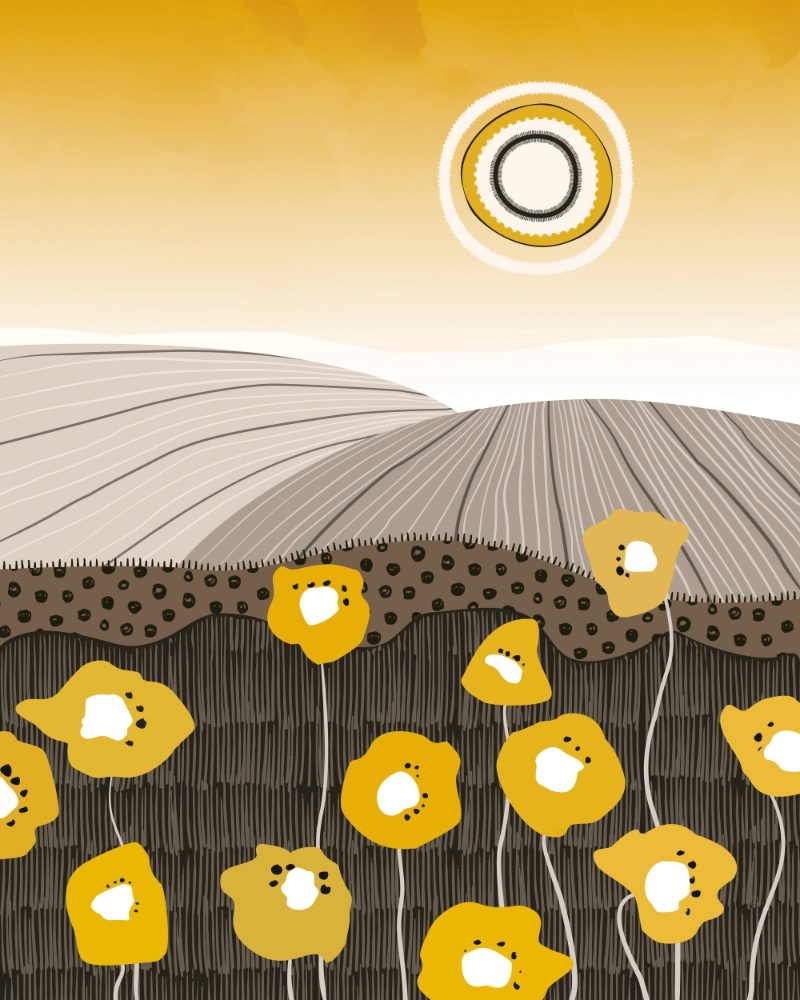 Abstract landscape featuring yellow flowers fields and the sun